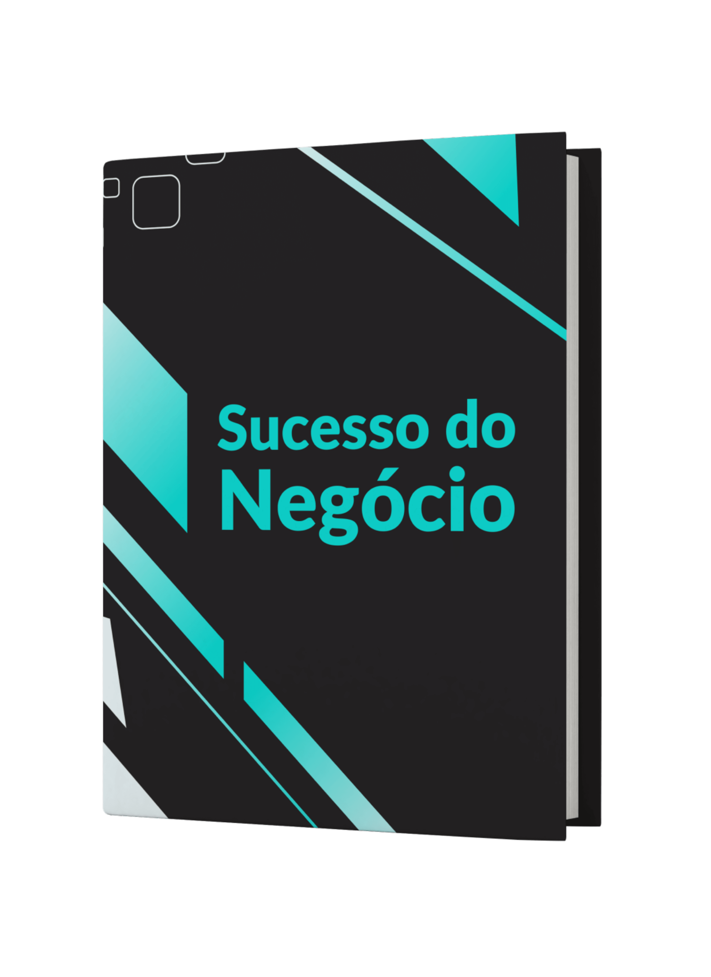Sucesso do Negócio